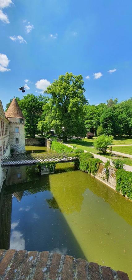 Chateau De La Cour Senlisse Екстер'єр фото